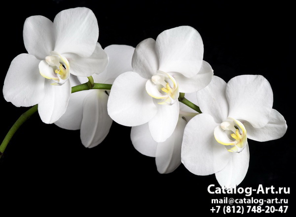 картинки для фотопечати на потолках, идеи, фото, образцы - Потолки с фотопечатью - Белые орхидеи 4
